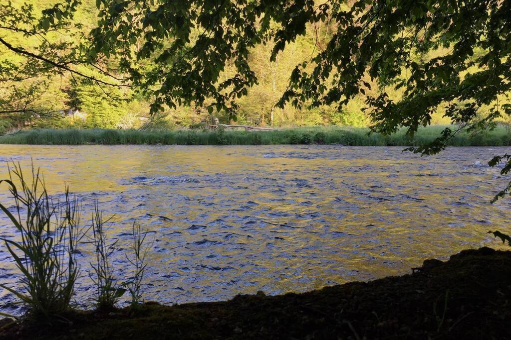 Gite Authentic Ardenne Vresse-sur-Semois Eksteriør billede